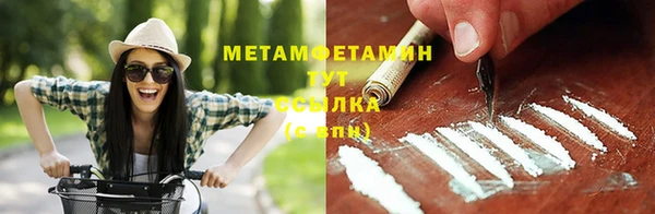 шишки Богородицк