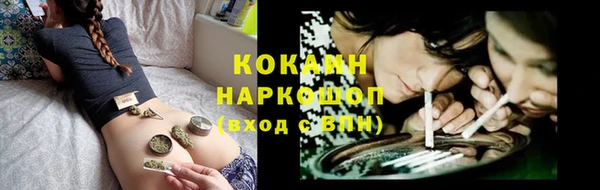 шишки Богородицк