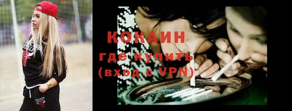 шишки Богородицк