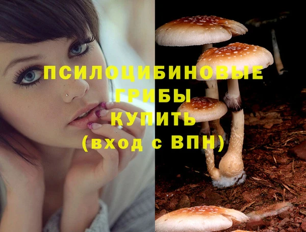 мяу мяу кристалл Ладушкин