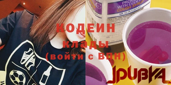шишки Богородицк