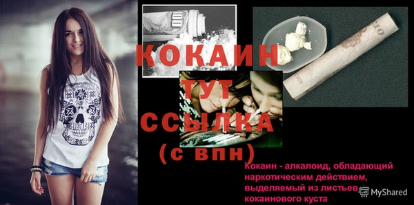 шишки Богородицк
