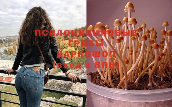 синтетический гашиш Богданович