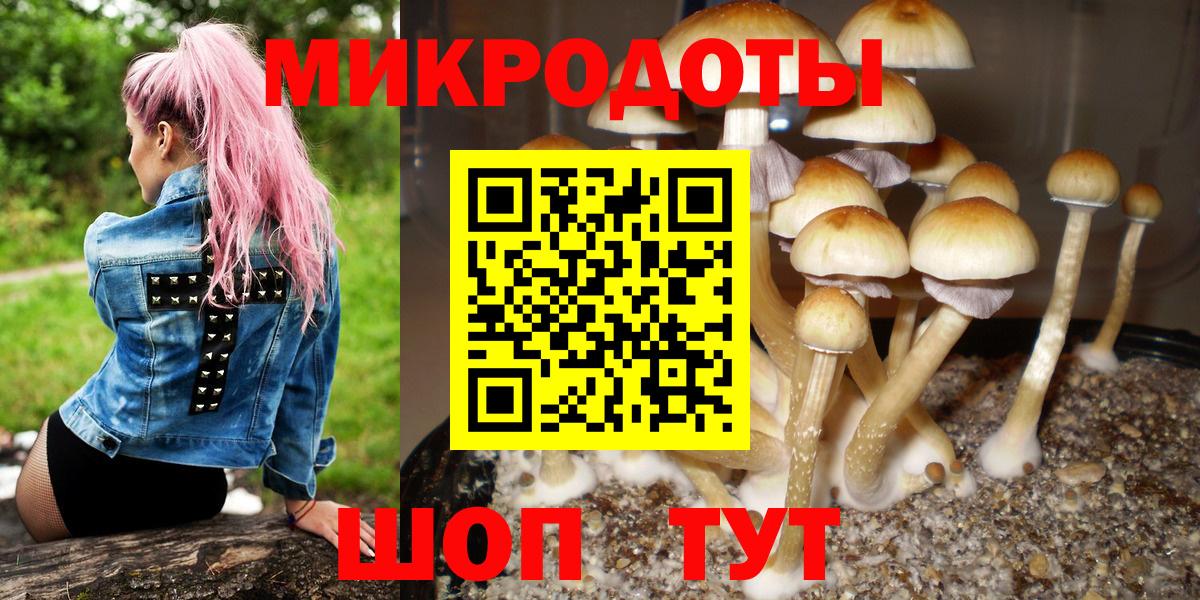 Бор  Галлюциногенные грибы Magic Shrooms  купить  цена  Вход с VPN 